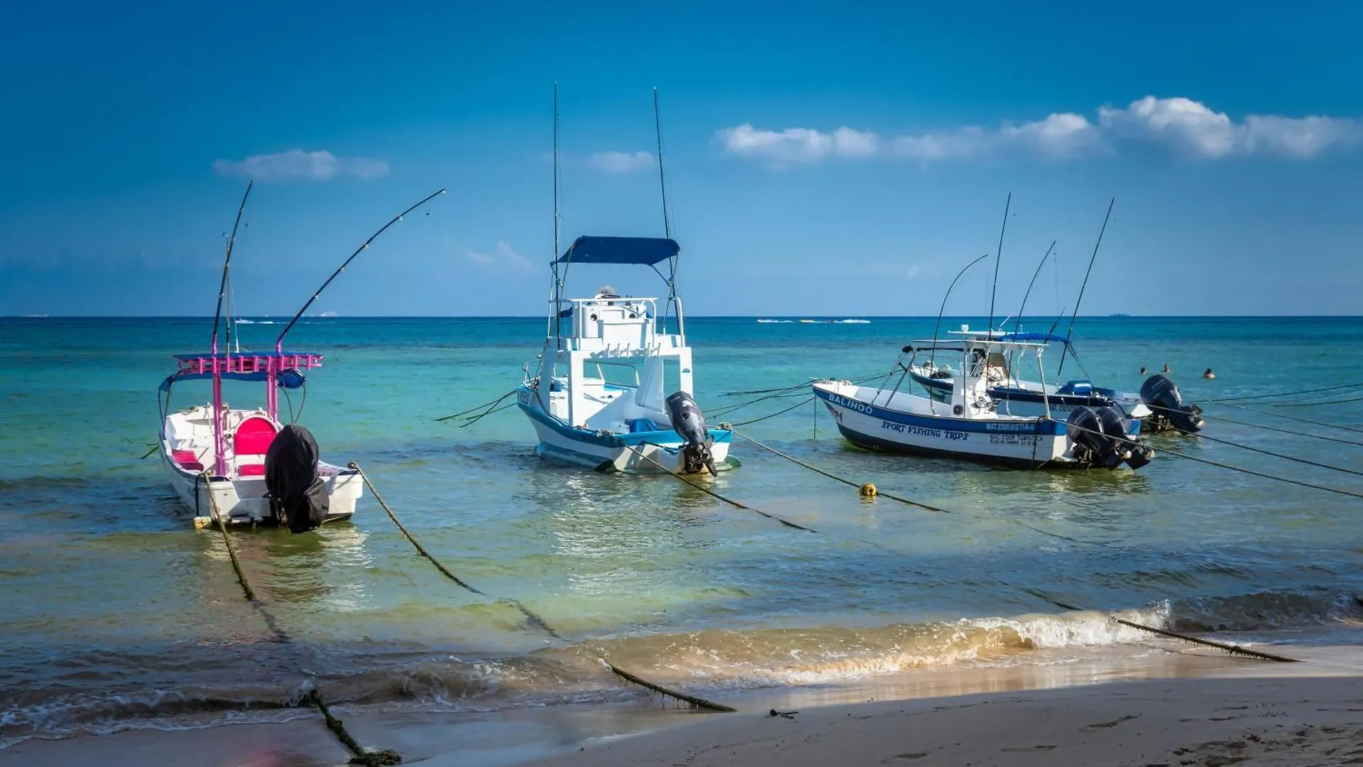 ****  El Taj Oceanfront And Beachside Condo Hotel Playa del Carmen Messico