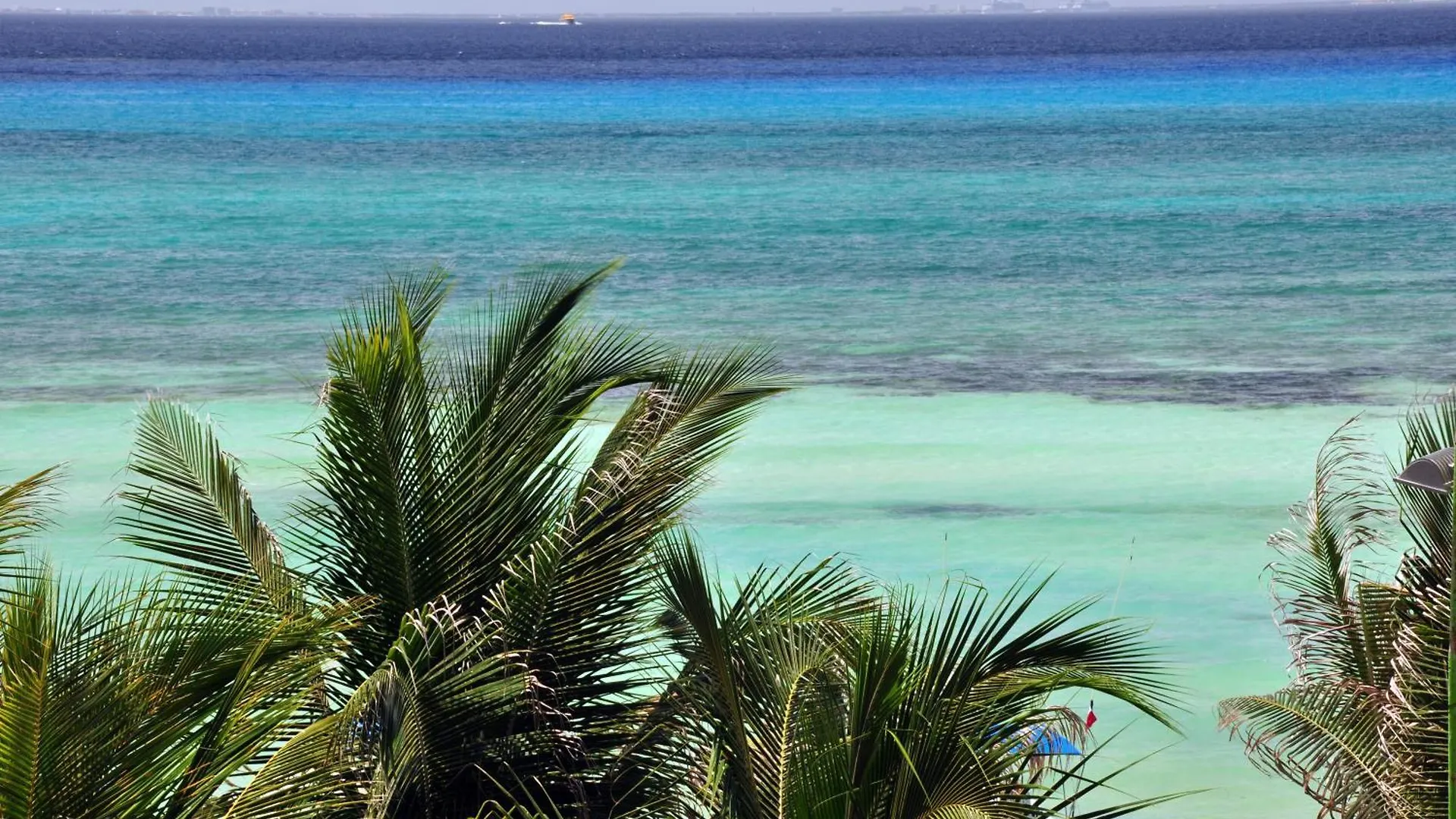 ****  El Taj Oceanfront And Beachside Condo Hotel Playa del Carmen Meksyk
